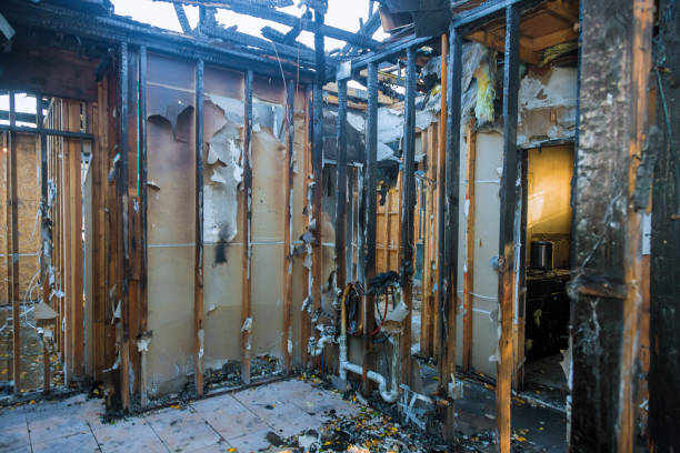 Professional Smoke Damage Removal technician working in Shannon, GA